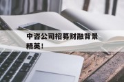 中咨公司招募财融背景精英！