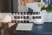 干个小生意能赚钱吗？，投资小生意，盈利的可能性和策略