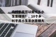 农村平房可以做什么小生意赚钱?,10个乡村平房小生意创意赚大钱