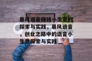 暴风语音赚钱小生意的探索与实践，暴风语音，创业之路中的语音小生意探索与实践