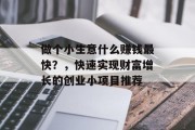做个小生意什么赚钱最快?,快速实现财富增长的创业小项目推荐 做个小生意什么赚钱最快?,快速实现财富增长的创业小项目推荐