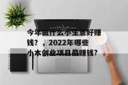 今年做什么小生意好赚钱？，2022年哪些小本创业项目最赚钱?