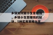 乡镇如何做小生意赚钱,乡镇小生意赚钱的秘诀,5种实用策略分享