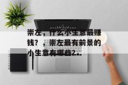 崇左,什么小生意最赚钱?,崇左最有前景的小生意有哪些?