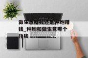 做生意赚钱还是种地赚钱_种地和做生意哪个挣钱