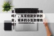 家乡能做的小生意赚钱吗?,从家庭副业到创业,家乡的小生意赚钱吗?
