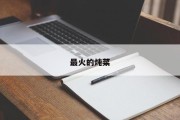 最火的炖菜