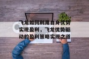 飞龙如何利用自身优势实现盈利,飞龙优势驱动的盈利策略实现之道