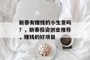 新泰有赚钱的小生意吗？，新泰投资创业推荐，赚钱的好项目