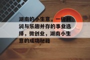 湖南的小生意,一份利润与乐趣并存的事业选择,微创业,湖南小生意的成功秘籍 湖南的小生意,一份利润与乐趣并存的事业选择,微创业,湖南小生意的成功秘籍