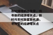 农村赚钱的小生意，找寻新的经济增长点，新时代农村致富新机遇，寻找新的经济增长点