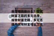 我想赚钱做什么？探索财富之路的多元选择，探索财富之路，多元选择与实现财富增长之道