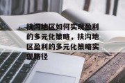 扶沟地区如何实现盈利的多元化策略,扶沟地区盈利的多元化策略实现路径