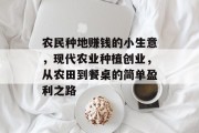 农民种地赚钱的小生意,现代农业种植创业,从农田到餐桌的简单盈利之路 农民种地赚钱的小生意,现代农业种植创业,从农田到餐桌的简单盈利之路