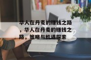 华人在丹麦的赚钱之路,华人在丹麦的赚钱之路,策略与机遇探索