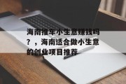 海南推车小生意赚钱吗?,海南适合做小生意的创业项目推荐 海南推车小生意赚钱吗?,海南适合做小生意的创业项目推荐