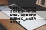 在众多的小生意中选择适合自己的——如何赚取财富,最适合你的财富赚钱方式,小生意与成功之道 在众多的小生意中选择适合自己的——如何赚取财富,最适合你的财富赚钱方式,小生意与成功之道