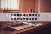 公司如何通过精准定位与高效运营实现盈利 公司如何通过精准定位与高效运营实现盈利