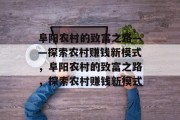 阜阳农村的致富之路——探索农村赚钱新模式,阜阳农村的致富之路,探索农村赚钱新模式 阜阳农村的致富之路——探索农村赚钱新模式,阜阳农村的致富之路,探索农村赚钱新模式