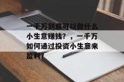一千万到底可以做什么小生意赚钱?,一千万如何通过投资小生意来盈利? 一千万到底可以做什么小生意赚钱?,一千万如何通过投资小生意来盈利?
