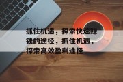 抓住机遇，探索快速赚钱的途径，抓住机遇，探索高效盈利途径