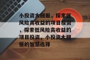 小投资大回报,探索低风险高收益的项目投资,探索低风险高收益的项目投资,小投资大回报的智慧选择