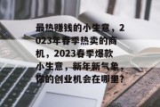 最热赚钱的小生意,2023年春季热卖的商机,2023春季爆款小生意,新年新气象,你的创业机会在哪里?