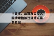 中青宝:公司及实控人因涉嫌信披违规遭证监会立案