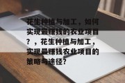 花生种植与加工,如何实现最赚钱的农业项目?,花生种植与加工,实现最赚钱农业项目的策略与途径?