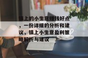 镇上的小生意赚钱好点,一份详细的分析和建议,镇上小生意盈利策略解析与建议 镇上的小生意赚钱好点,一份详细的分析和建议,镇上小生意盈利策略解析与建议