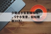 少聊点小生意赚钱吗？，5个小生意，轻松赚取20万！