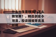 什么小生意赚钱?怎么做划算?,精选创业小项目,投资回报率高且好做