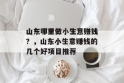 山东哪里做小生意赚钱?,山东小生意赚钱的几个好项目推荐 山东哪里做小生意赚钱?,山东小生意赚钱的几个好项目推荐