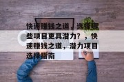快速赚钱之道，选择哪些项目更具潜力？，快速赚钱之道，潜力项目选择指南