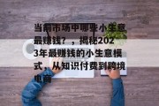 当前市场中哪些小生意最赚钱?,揭秘2023年最赚钱的小生意模式,从知识付费到跨境电商 当前市场中哪些小生意最赚钱?,揭秘2023年最赚钱的小生意模式,从知识付费到跨境电商