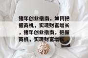 猪年创业指南,如何把握商机,实现财富增长,猪年创业指南,把握商机,实现财富增长 猪年创业指南,如何把握商机,实现财富增长,猪年创业指南,把握商机,实现财富增长
