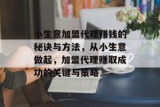 小生意加盟代理赚钱的秘诀与方法，从小生意做起，加盟代理赚取成功的关键与策略