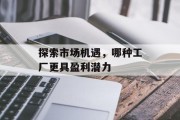 探索市场机遇，哪种工厂更具盈利潜力