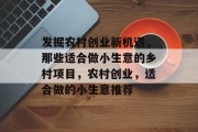 发掘农村创业新机遇,那些适合做小生意的乡村项目,农村创业,适合做的小生意推荐