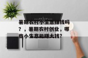 暑期农村小生意赚钱吗?,暑期农村创业,哪些小生意能赚大钱? 暑期农村小生意赚钱吗?,暑期农村创业,哪些小生意能赚大钱?
