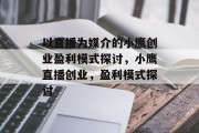 以直播为媒介的小鹰创业盈利模式探讨,小鹰直播创业,盈利模式探讨