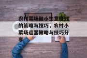 农村菜场做小生意赚钱的策略与技巧,农村小菜场运营策略与技巧分享