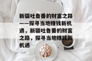 新疆吐鲁番的财富之路——探寻当地赚钱新机遇，新疆吐鲁番的财富之路，探寻当地赚钱新机遇