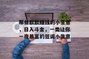 那些默默赚钱的小生意，日入斗金，一类让你一夜暴富的低调小生意