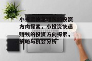 小投资快速赚钱的投资方向探索，小投资快速赚钱的投资方向探索，策略与机会分析