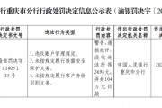 人保支付被罚104万元：未按规定履行数据安全保护义务等