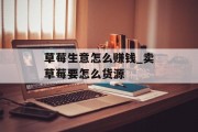 草莓生意怎么赚钱_卖草莓要怎么货源