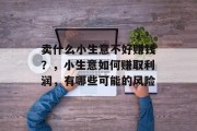卖什么小生意不好赚钱?,小生意如何赚取利润,有哪些可能的风险