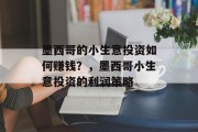墨西哥的小生意投资如何赚钱?,墨西哥小生意投资的利润策略 墨西哥的小生意投资如何赚钱?,墨西哥小生意投资的利润策略