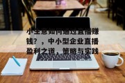 小生意如何通过直播赚钱?,中小型企业直播盈利之道,策略与实践 小生意如何通过直播赚钱?,中小型企业直播盈利之道,策略与实践